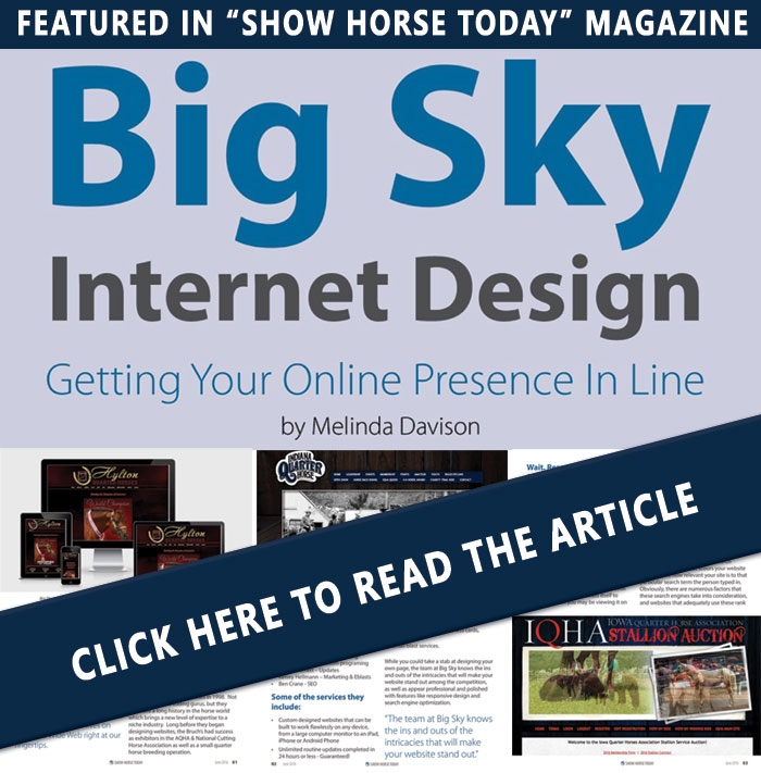 Show Horse - Read all about it!
